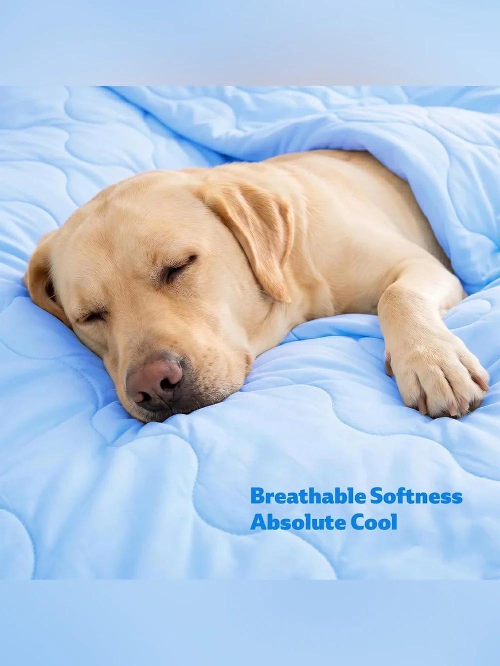 Cooling Blanket for Dogs, Dog Blanket for Large Dog